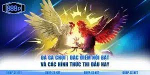Đá gà chọi