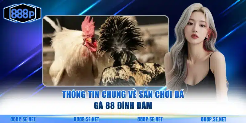 Thông tin chung về đá gà 88
